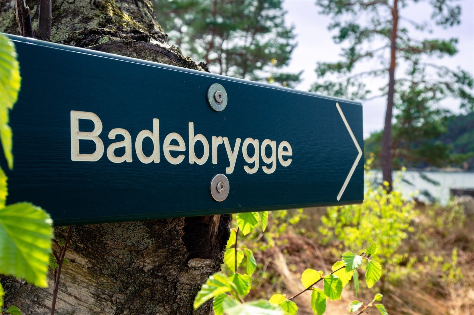 Badebrygge like ved. Galleribilde