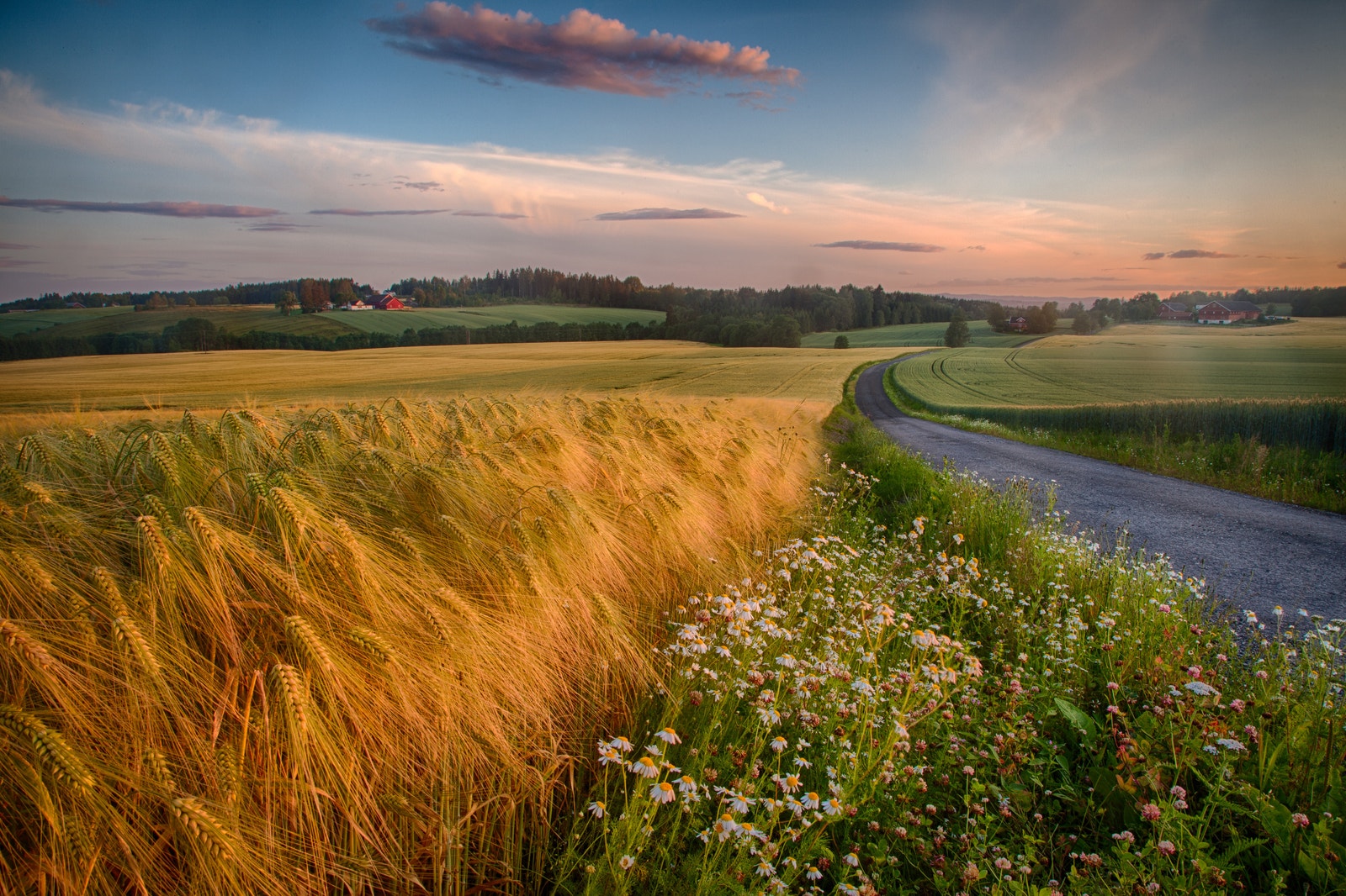 Nærområde Galleribilde