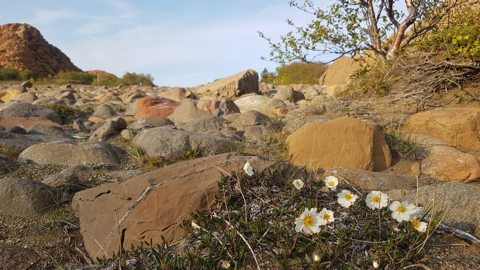 Støypet på Leka Galleribilde
