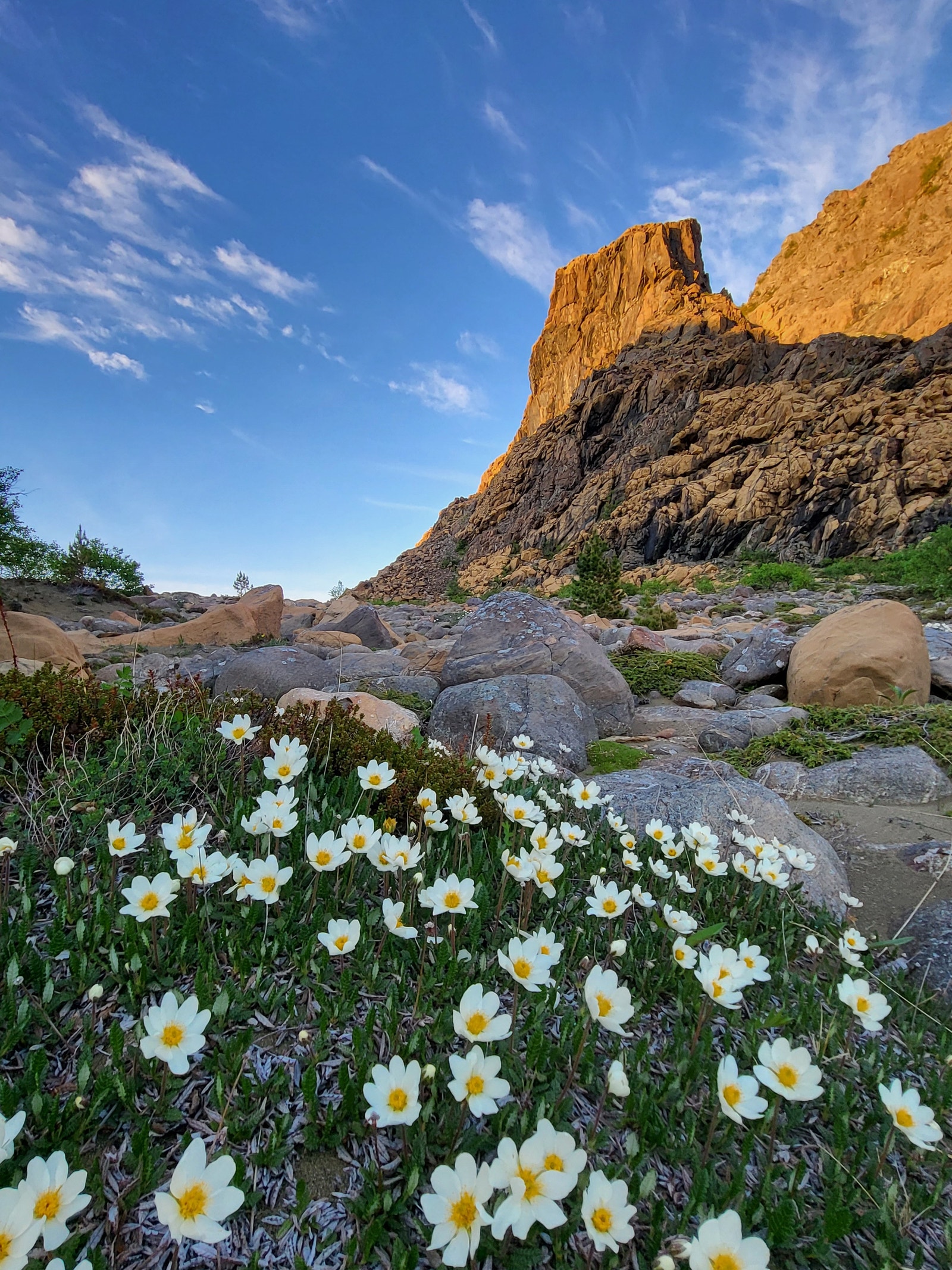 Støypet på Leka Galleribilde