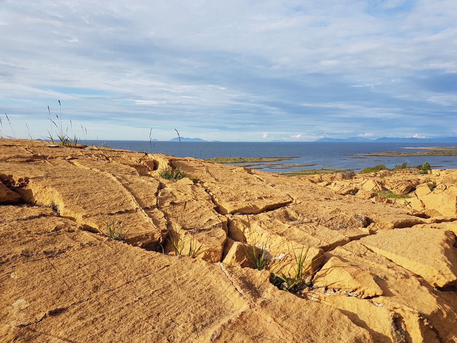 Nærområdet Galleribilde