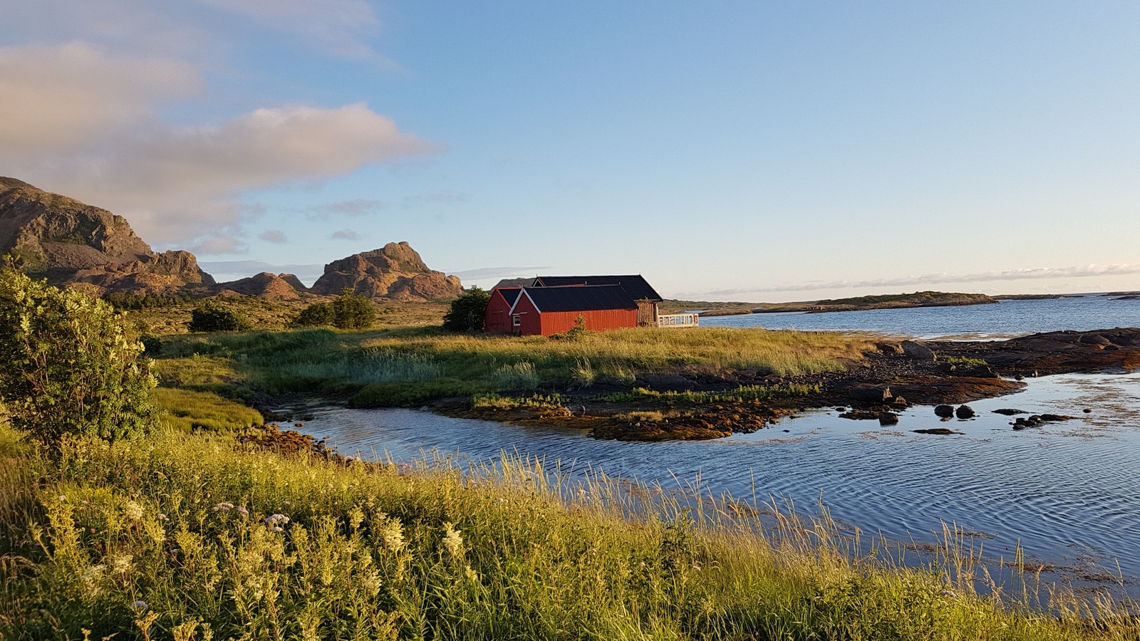 Nærområdet - ca. 150 m fra hytta Galleribilde
