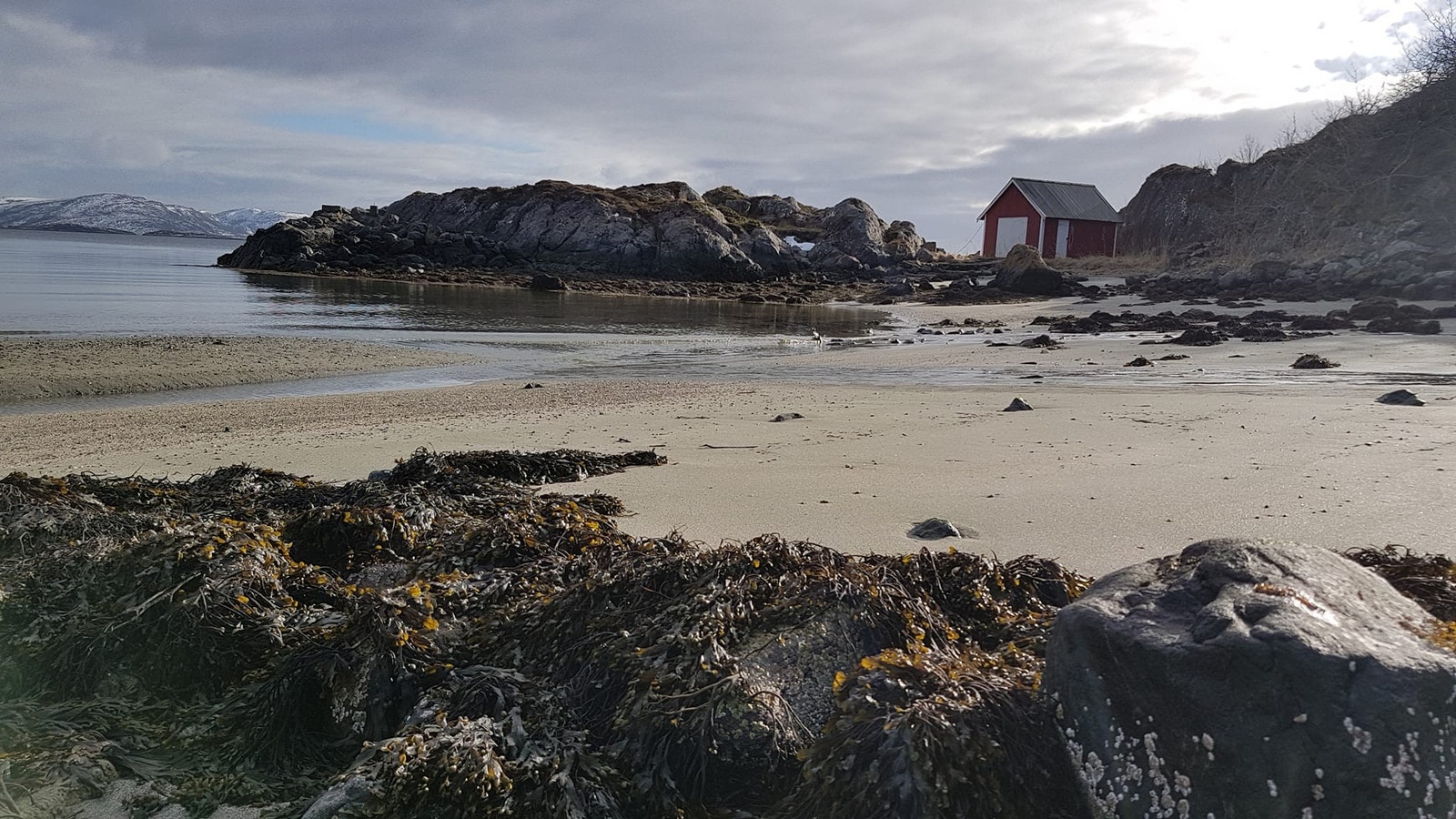 Badestranden Årdalssanden på Leka Galleribilde