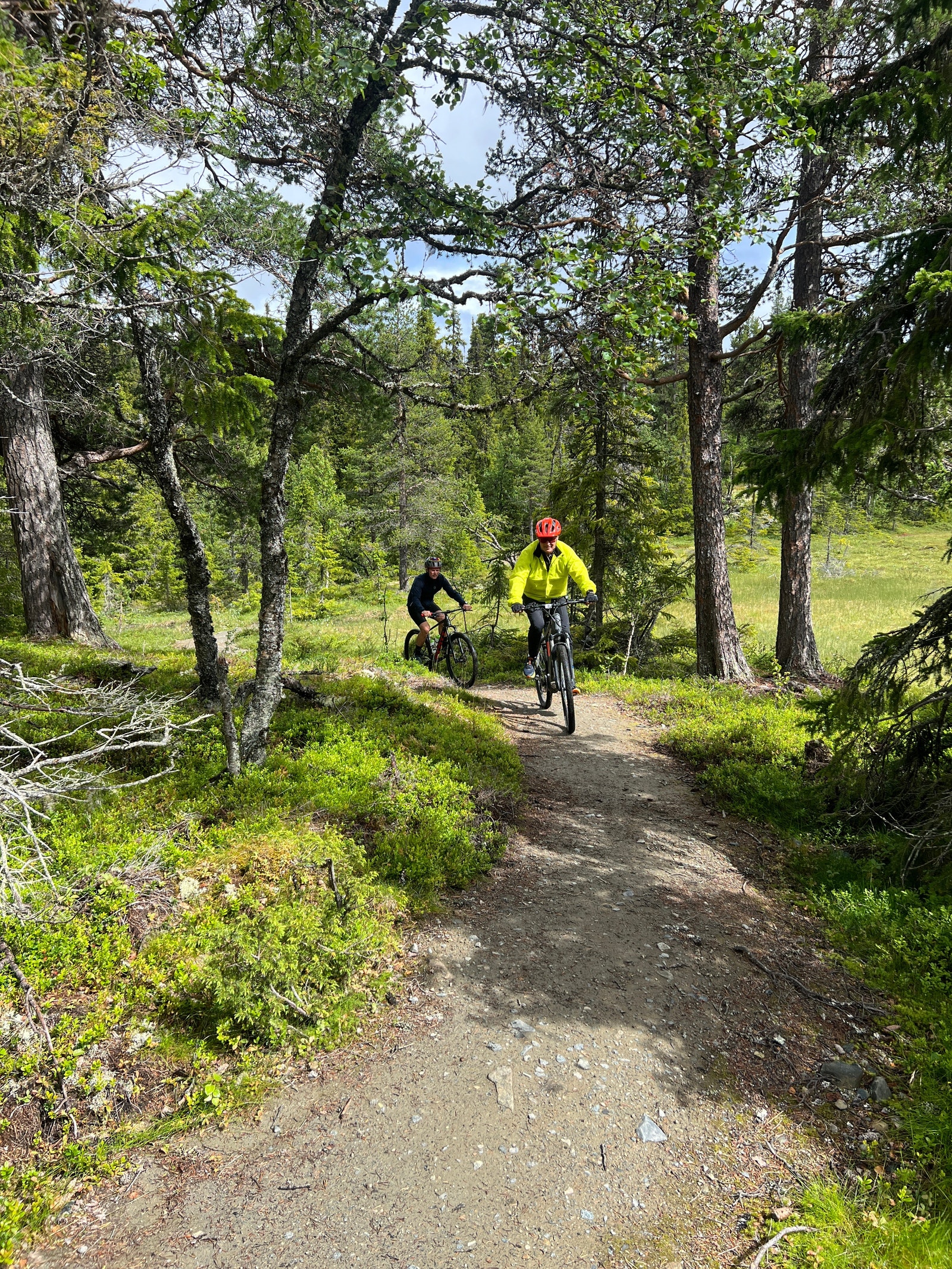 Sykkelstier innover fjellet Galleribilde