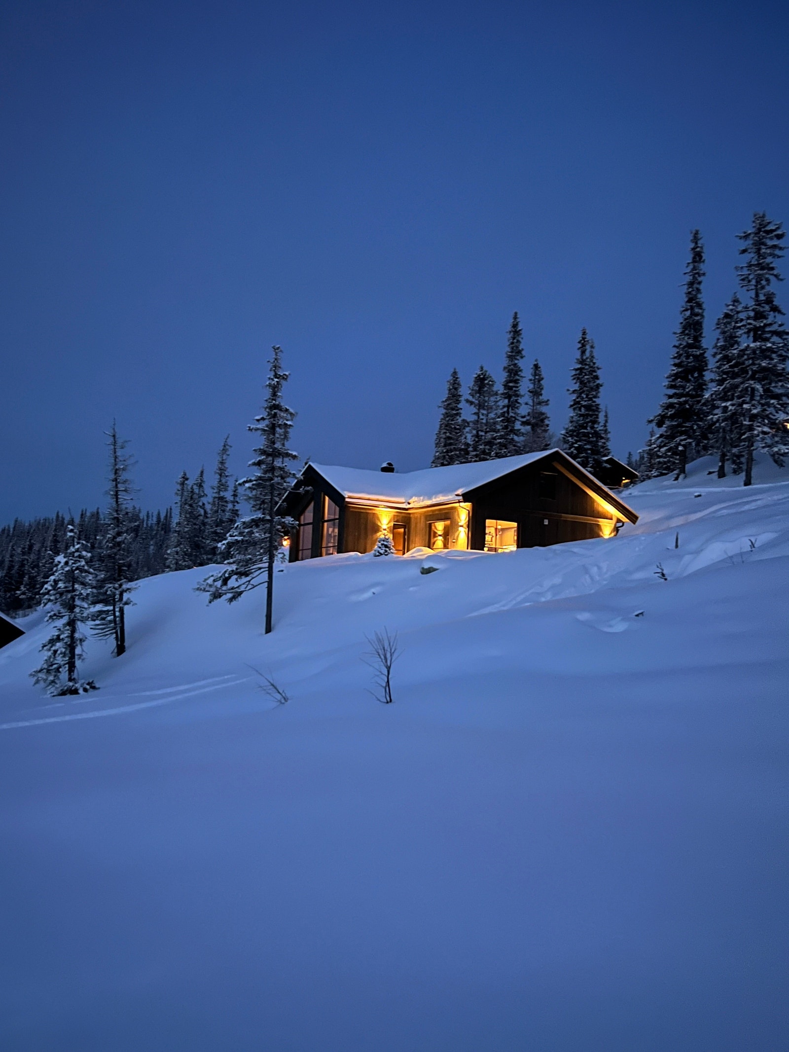 Vinter 23/24. Bilde tatt fra langrennssporet Galleribilde