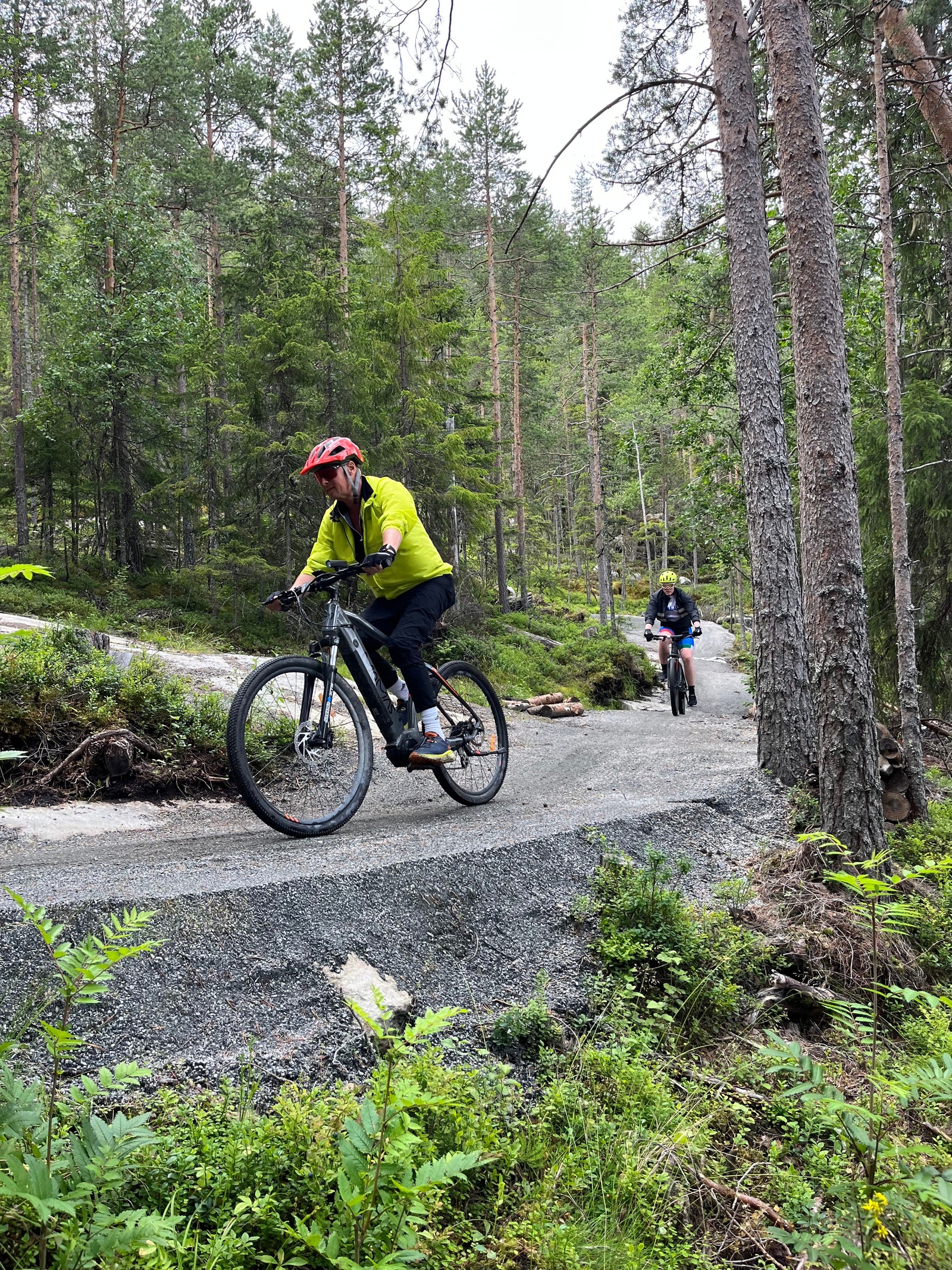 Hallingspranget Galleribilde