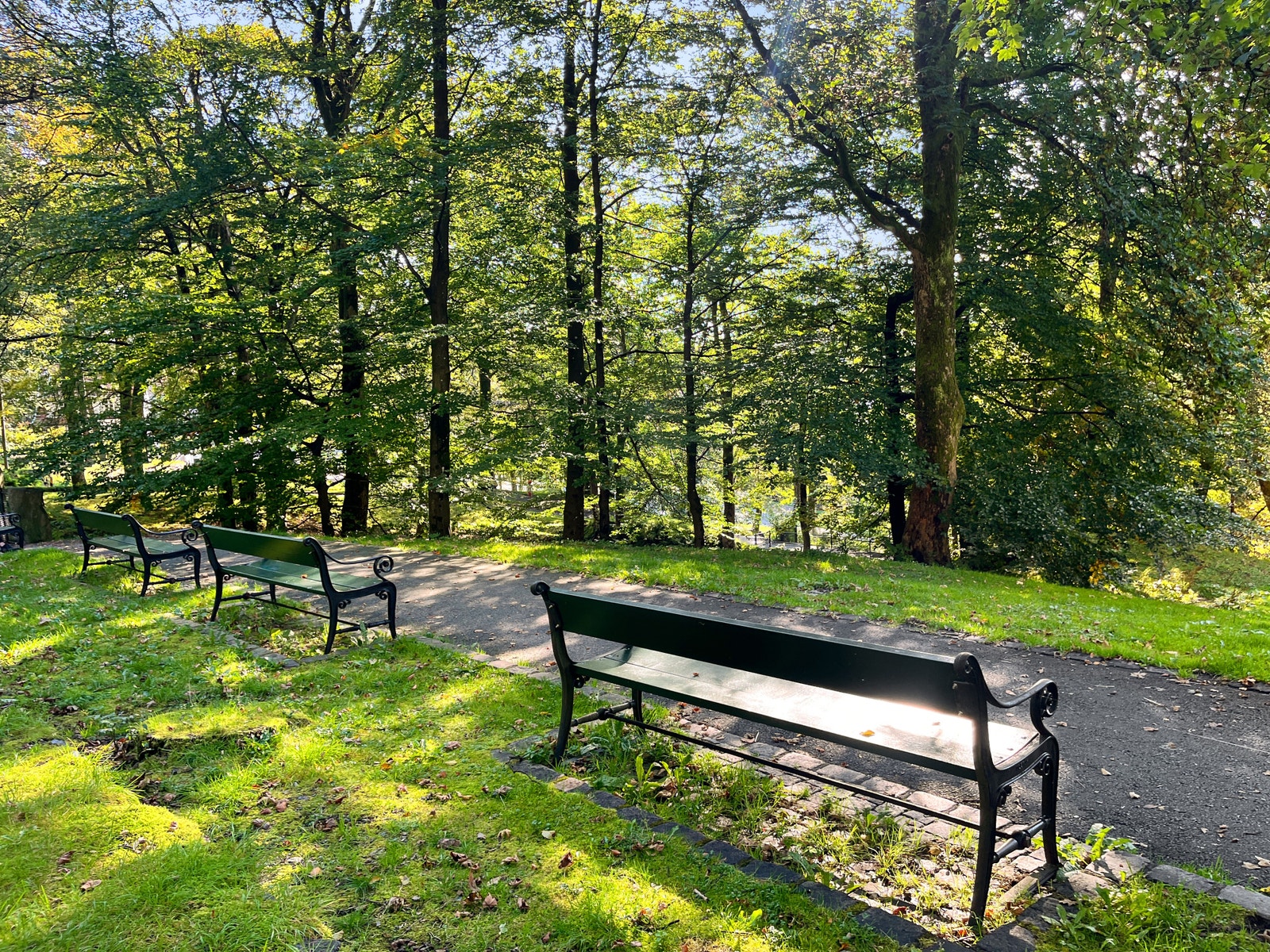 I Bergensmeieriet så har du kort vei til fine turmuligheter, som Leaparken, Løvstien og Løvstakken m.m. Galleribilde