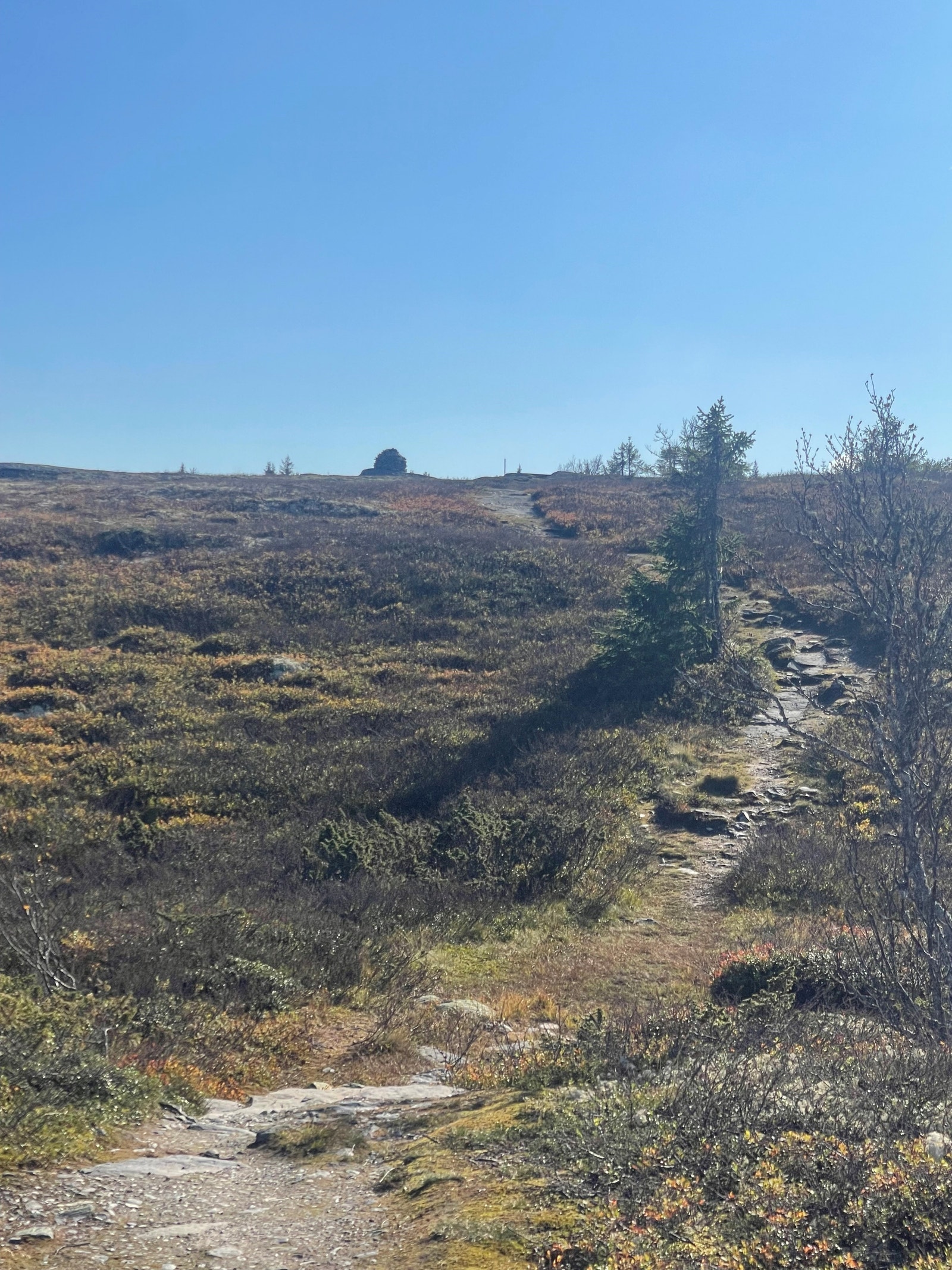 Bare 15 minutter å gå fra hyttetomta til Skottåstoppen Galleribilde