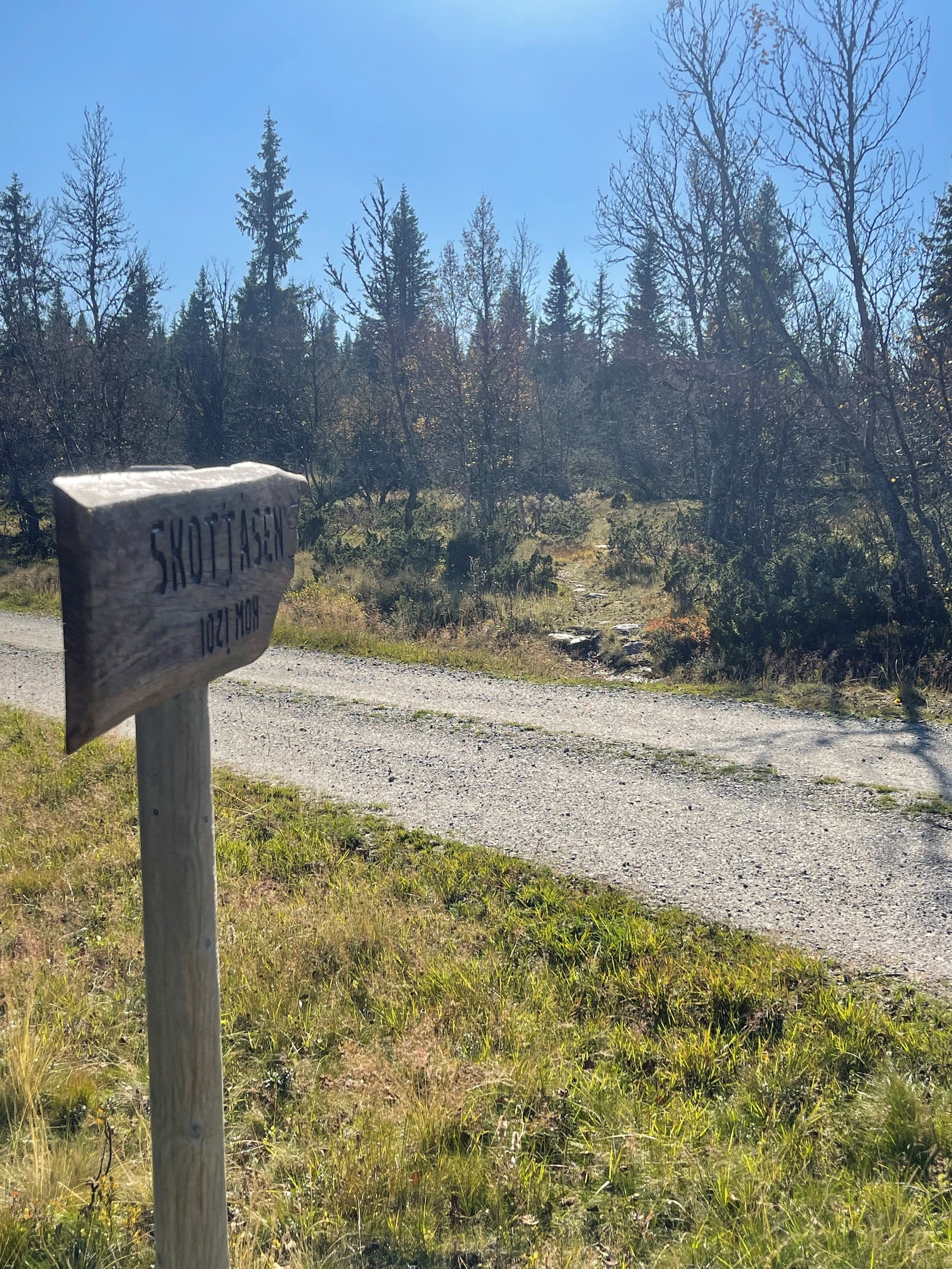 Skiltet sti til Skottåstoppen fra hytteområdet Galleribilde