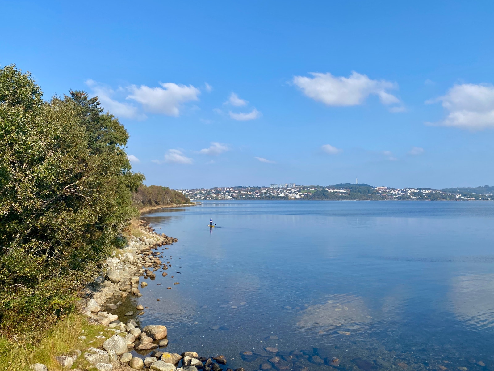 Hafrsfjord Galleribilde