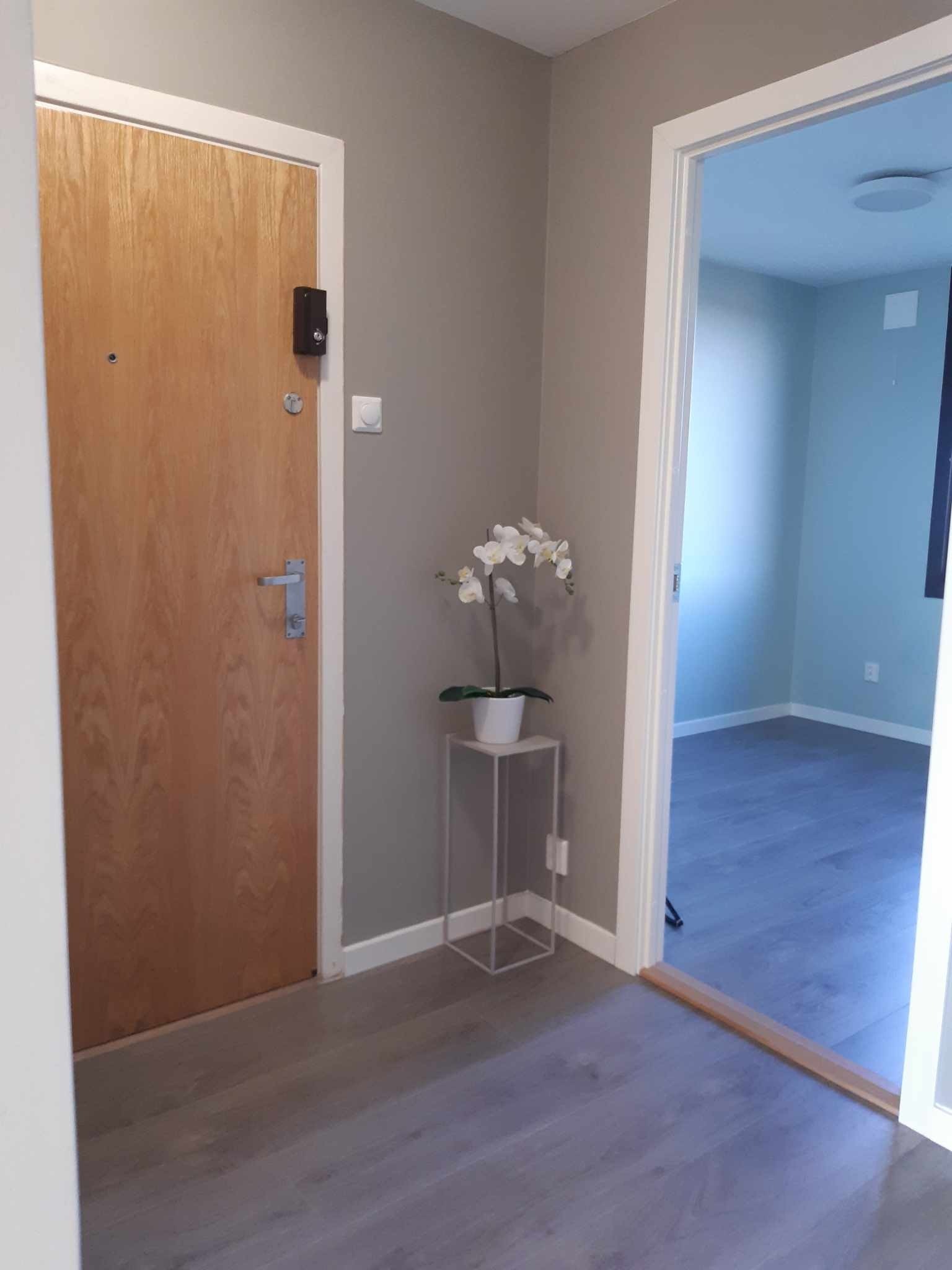 Romslig gang Galleribilde