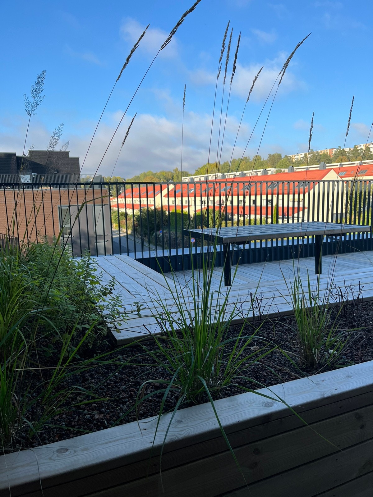 Felles takterrasse Galleribilde