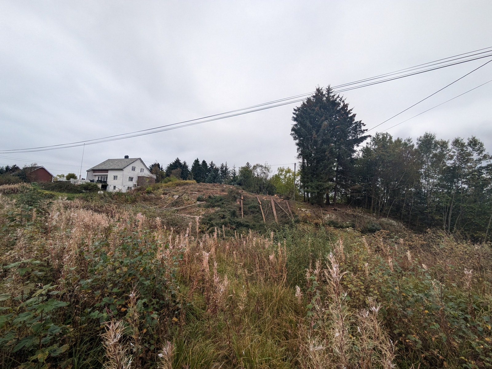 Bustaden blir liggande høgt og fint i terrenget, til høgre for nabohuset Galleribilde