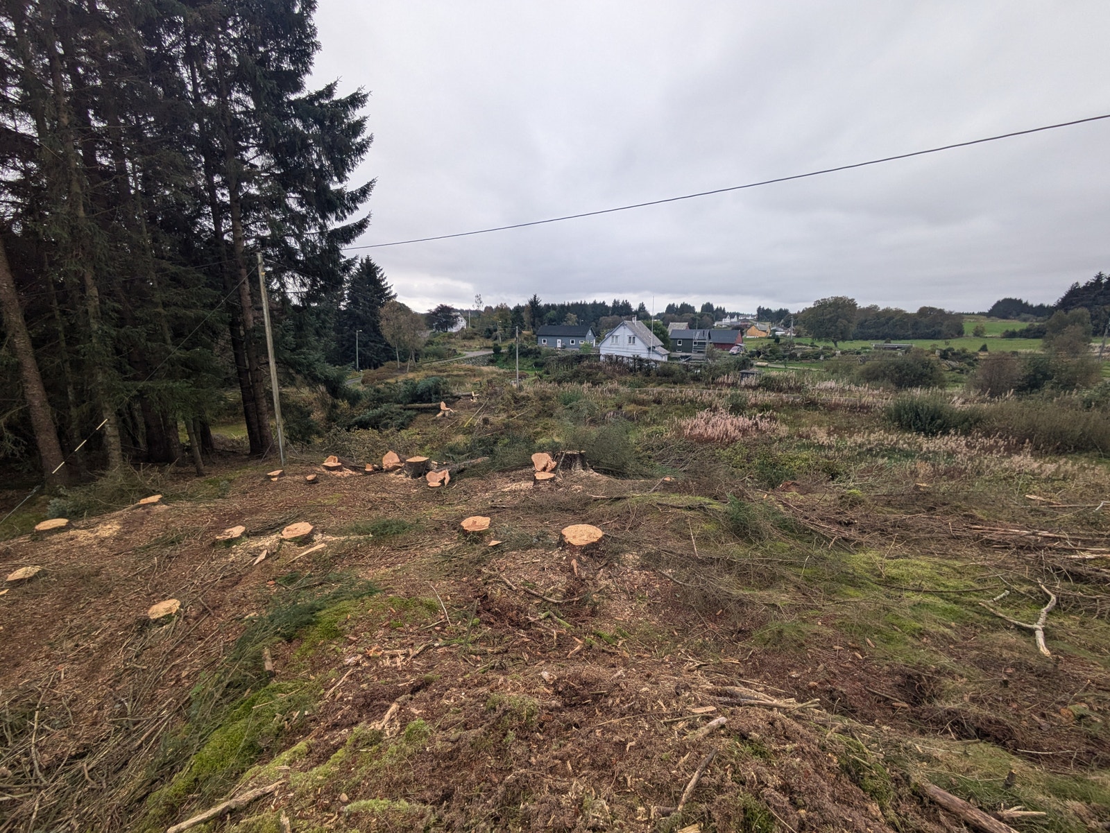 Utsikt mot sør Galleribilde