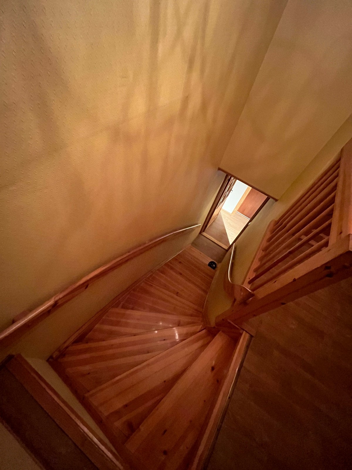 Trapp opp Galleribilde