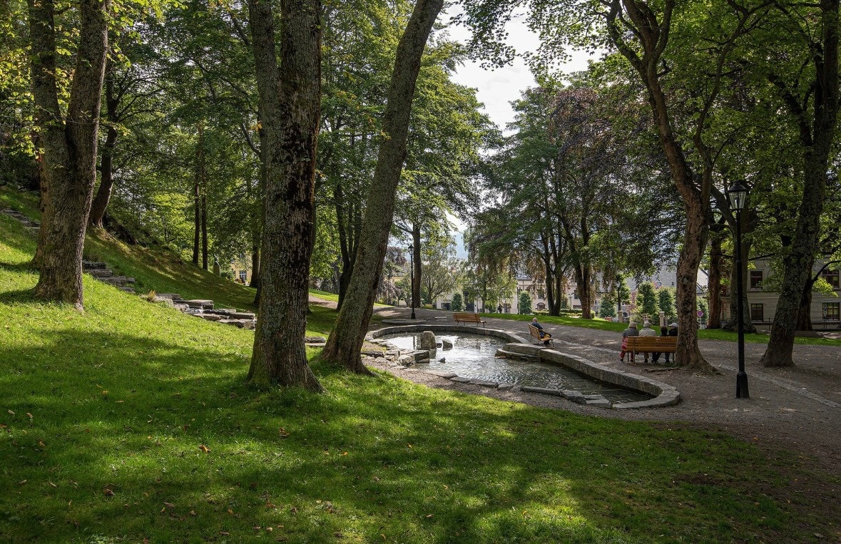 Her finner du også fine byparken. Velkommen på visning! Galleribilde