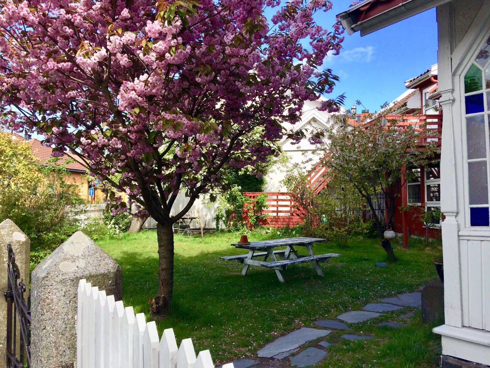 Grøntareal med sol hele dagen, kveldsol. Galleribilde