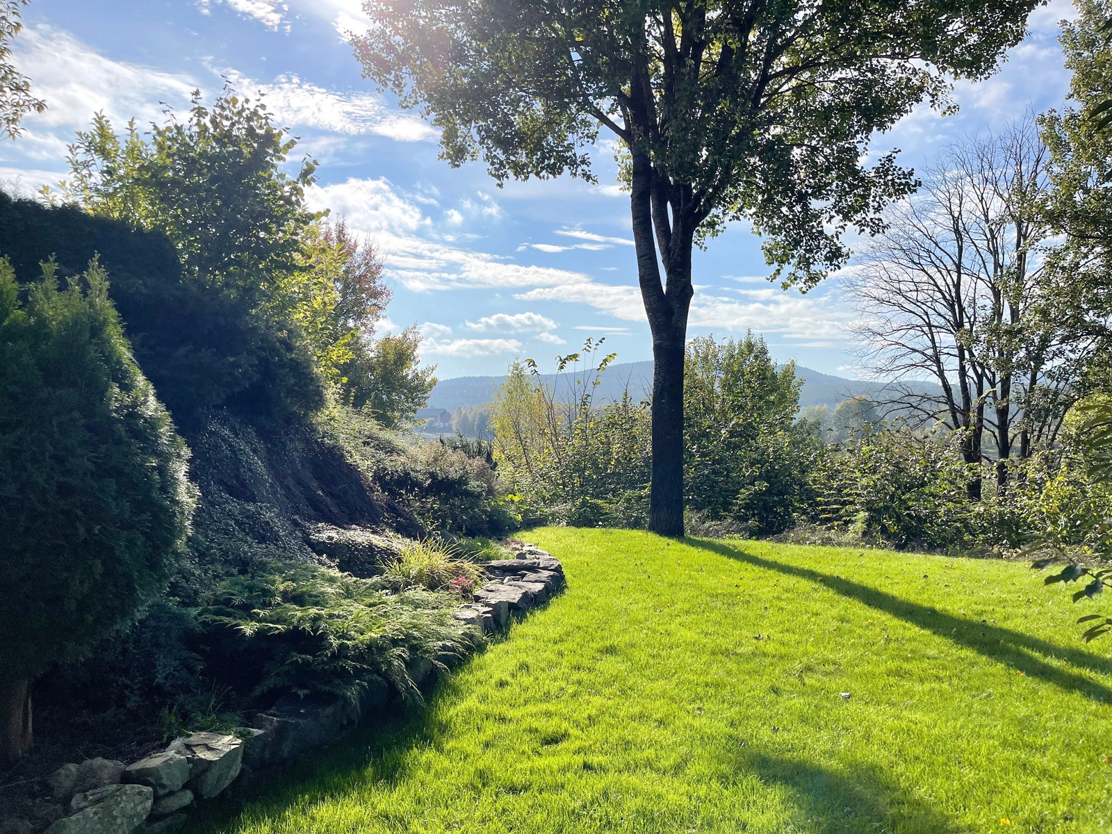 Utsikt mot sørvest Galleribilde