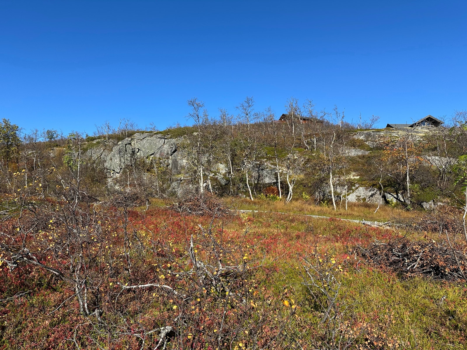 Utsikt fra tomt 126, nordover. September 2024. Galleribilde