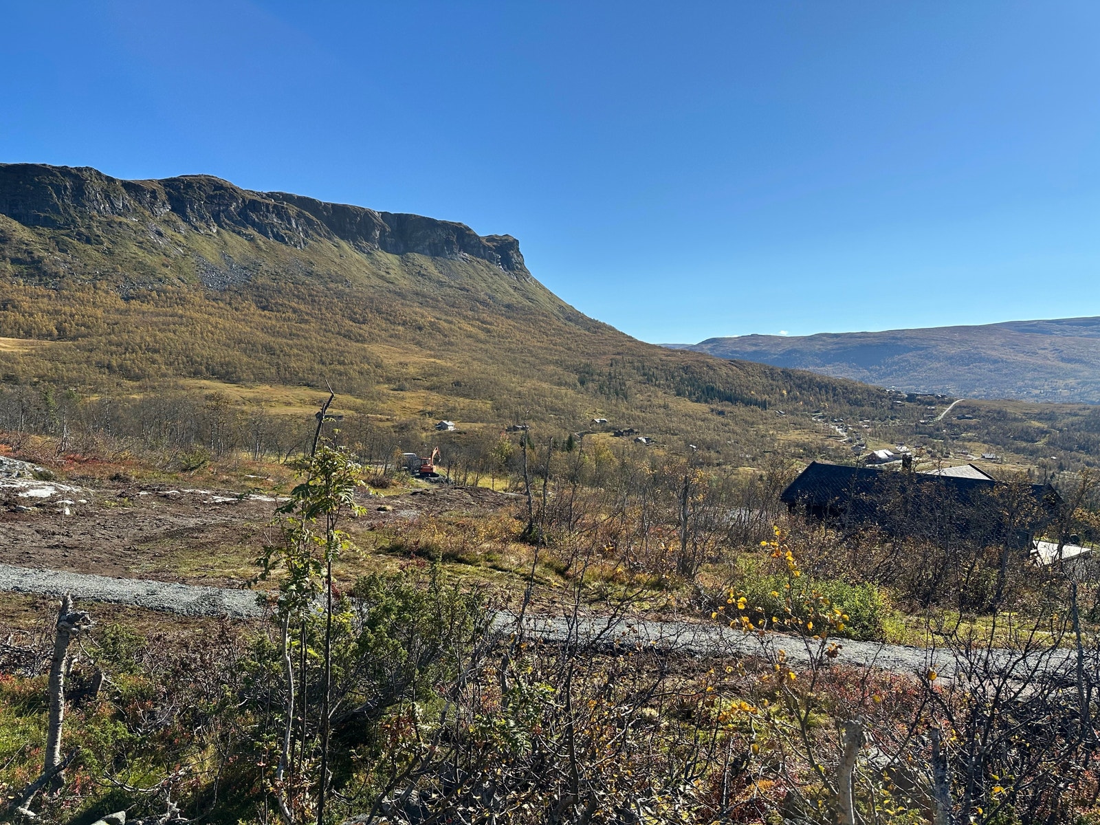 Utsikt fra tomt 128, østover mot Grytehorgi,
og mot tomt 127. September 2024. Galleribilde
