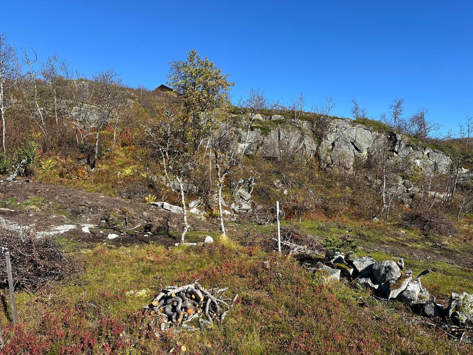 Utsikt fra tomt 128, nordover.
September 2024. Galleribilde