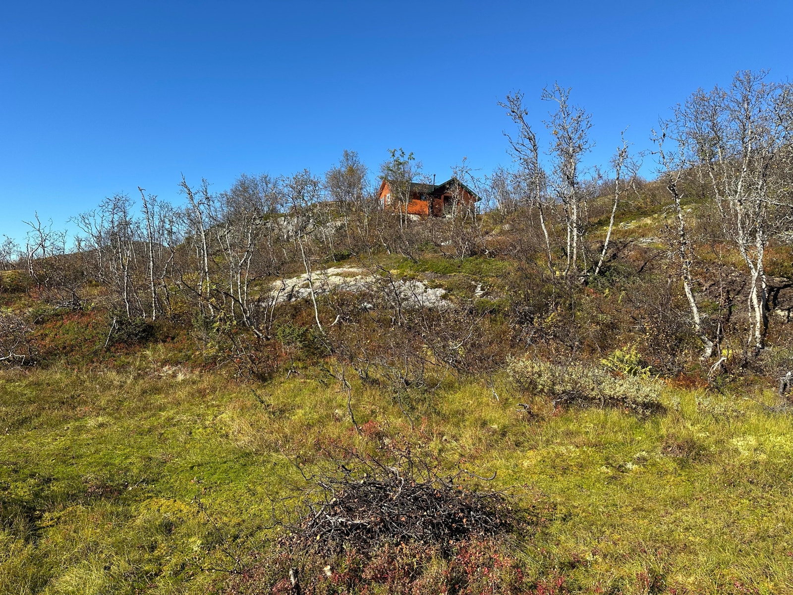 Utsikt fra tomt 128, vestover.
September 2024. Galleribilde