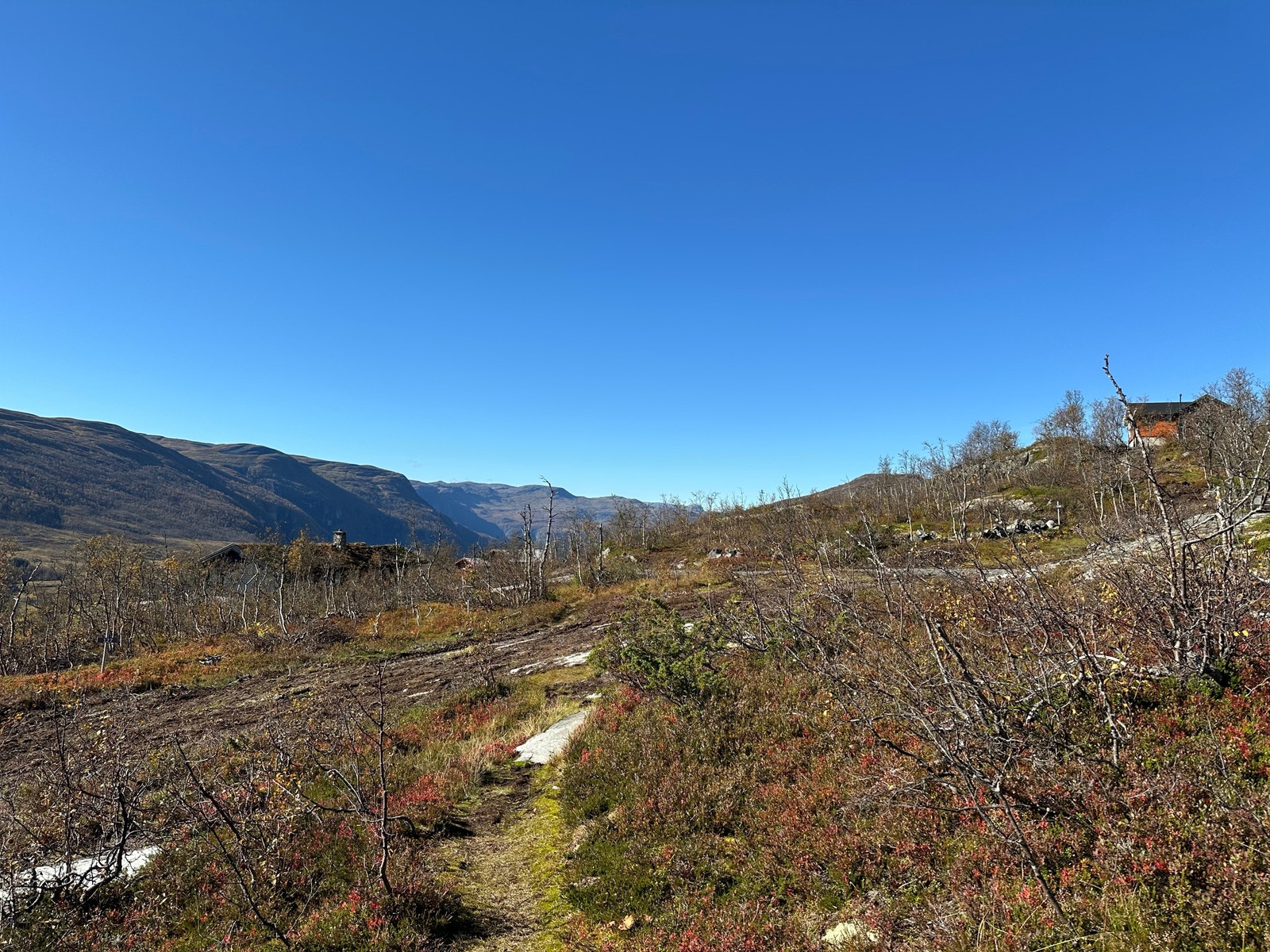 Utsikt fra tomt 126, vestover mot Hellefjell,
og mot tomt 127 og tomt 128.
September 2024. Galleribilde