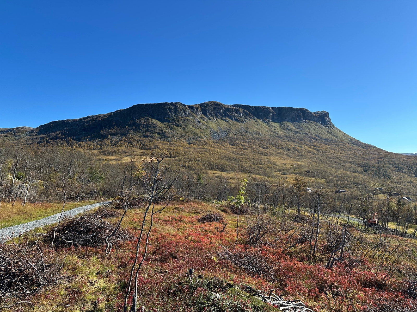 Utsikt fra tomt 126, østover mot Grytehorgi.
September 2024. Galleribilde