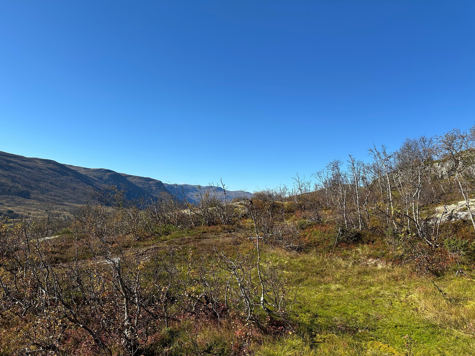 Utsikt fra tomt 128, vestover mot Hellefjell.
September 2024. Galleribilde