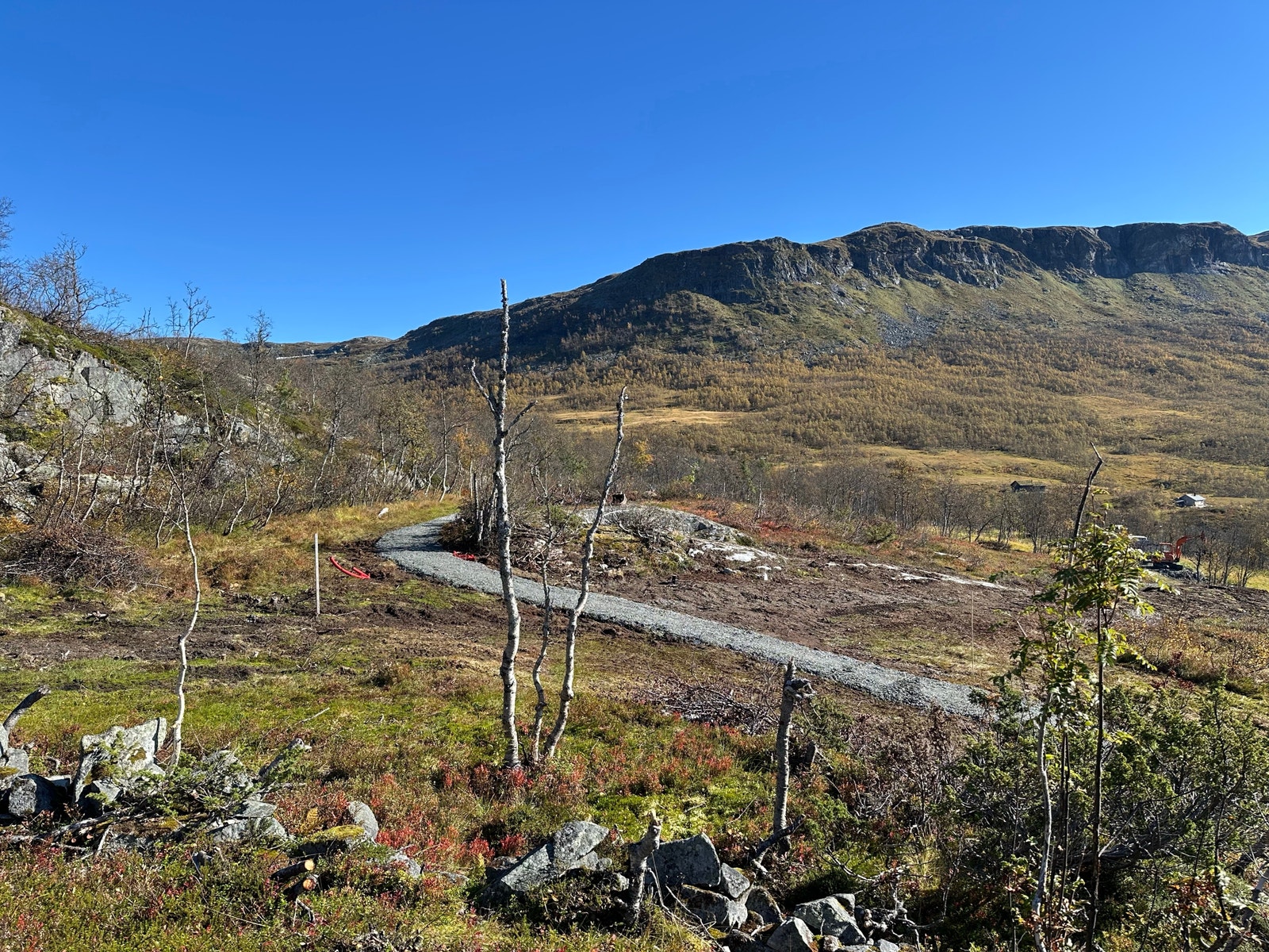 Utsikt fra tomt 128, østover mot Grytehorgi,
og mot tomt 126. September 2024. Galleribilde