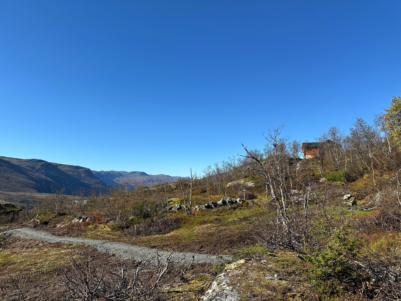 Utsikt fra tomt 126 vestover mot tomt 128.
September 2024 Galleribilde