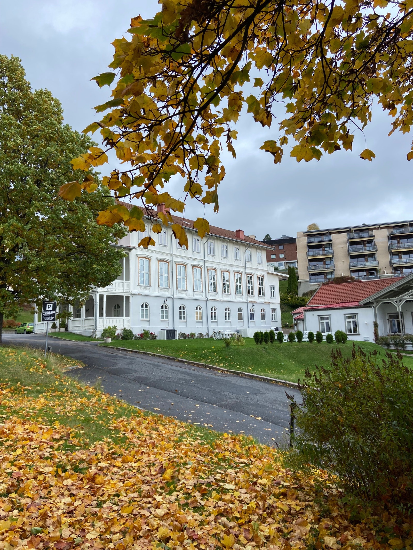 Villaen på høsten Galleribilde