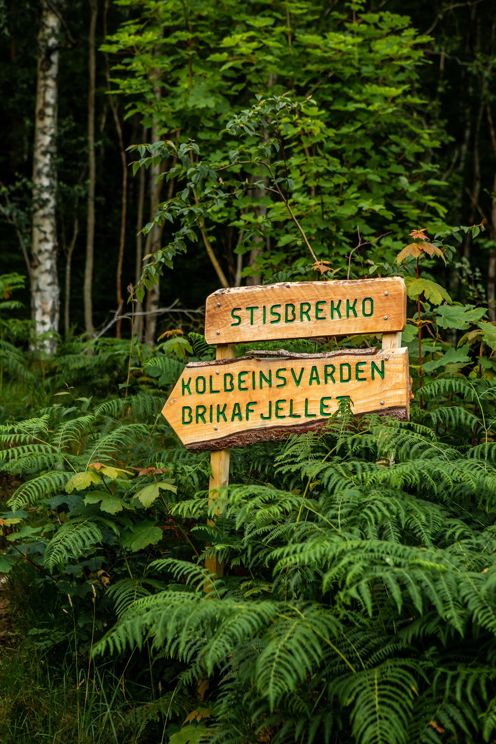 Askøy bogner av vakker natur og fine turer. Galleribilde