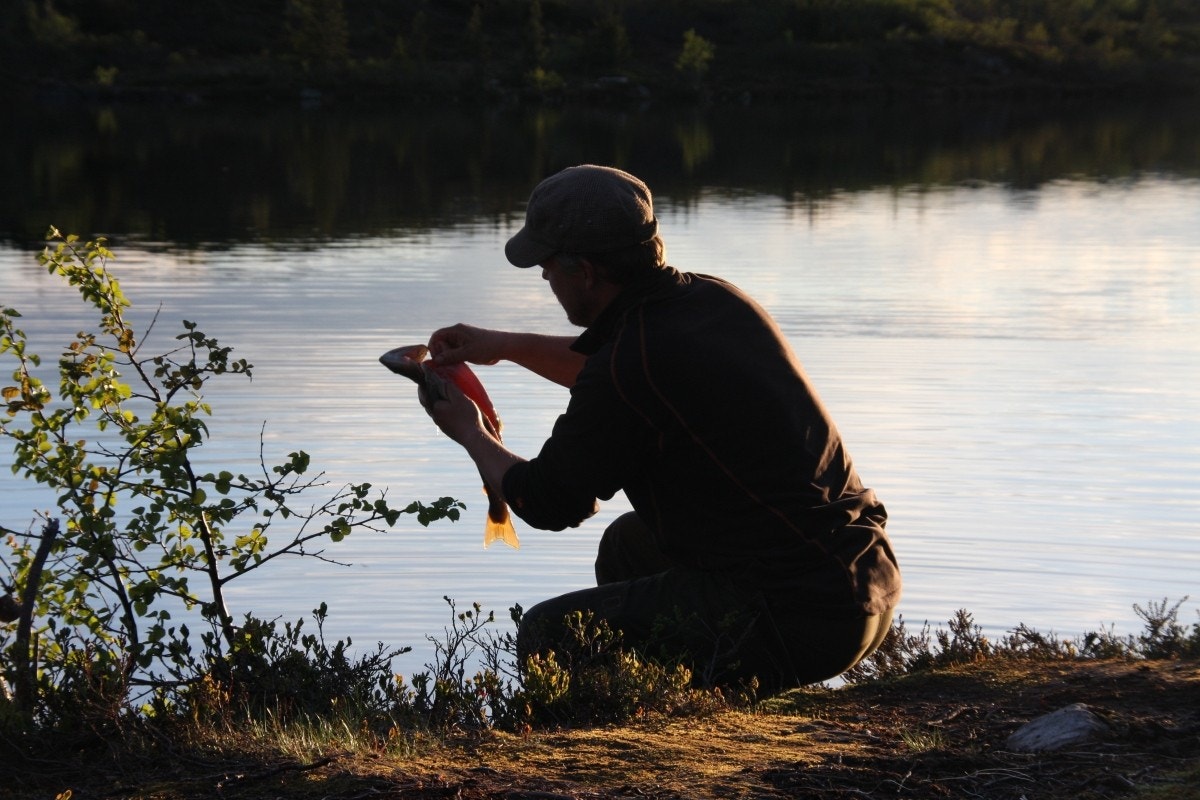 Små og store fjellvann innbyr til forfriskende bad eller til å prøve fiskelykken. Galleribilde