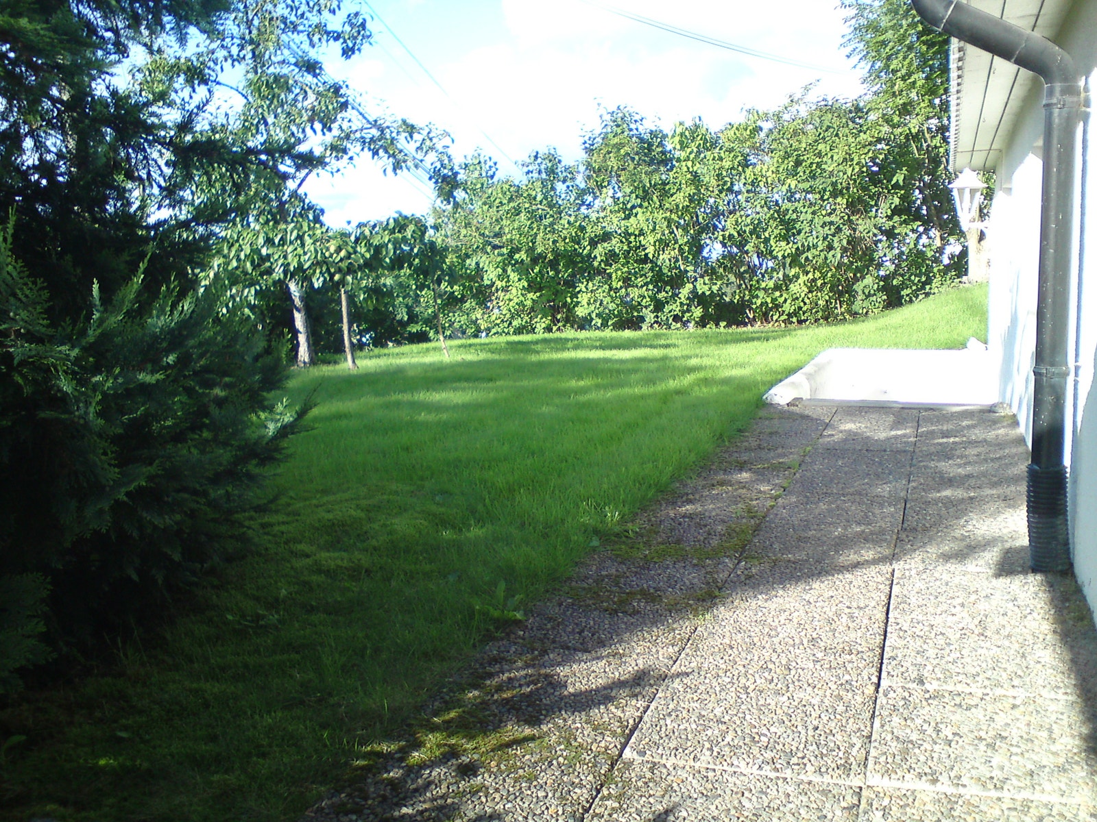 Adkomst Galleribilde