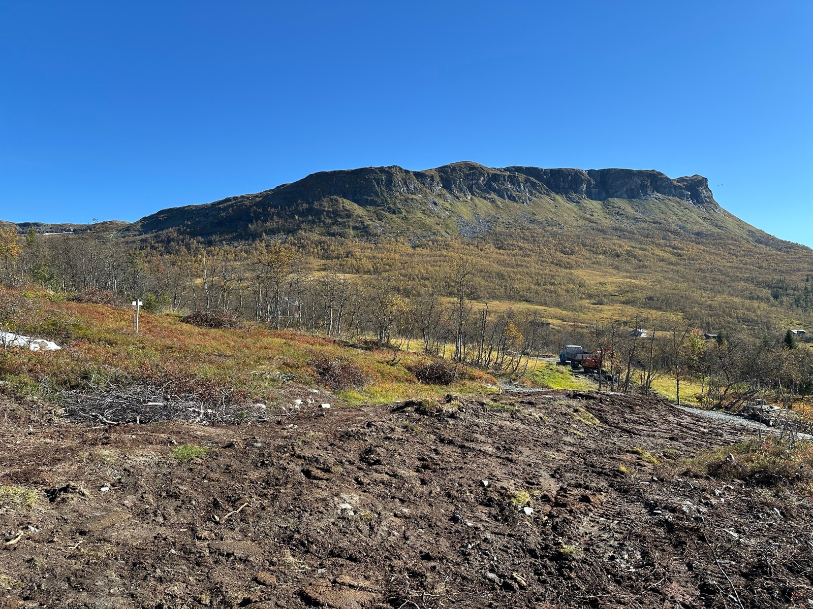 Utsikt fra tomt 127, østover mot Grytehorgi og tomt 126.
September 2024. Galleribilde
