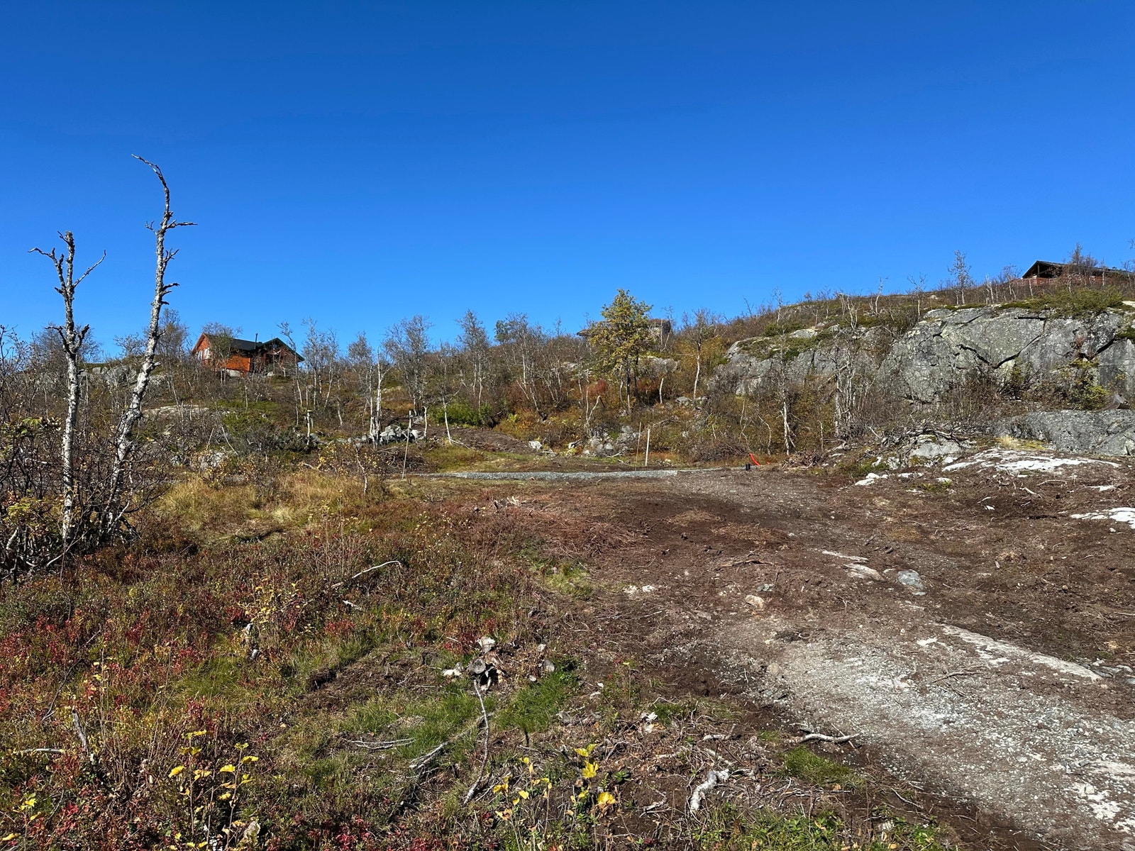 Utsikt fra tomt 127, nordvestover, mot tomt 128.
September 2024. Galleribilde