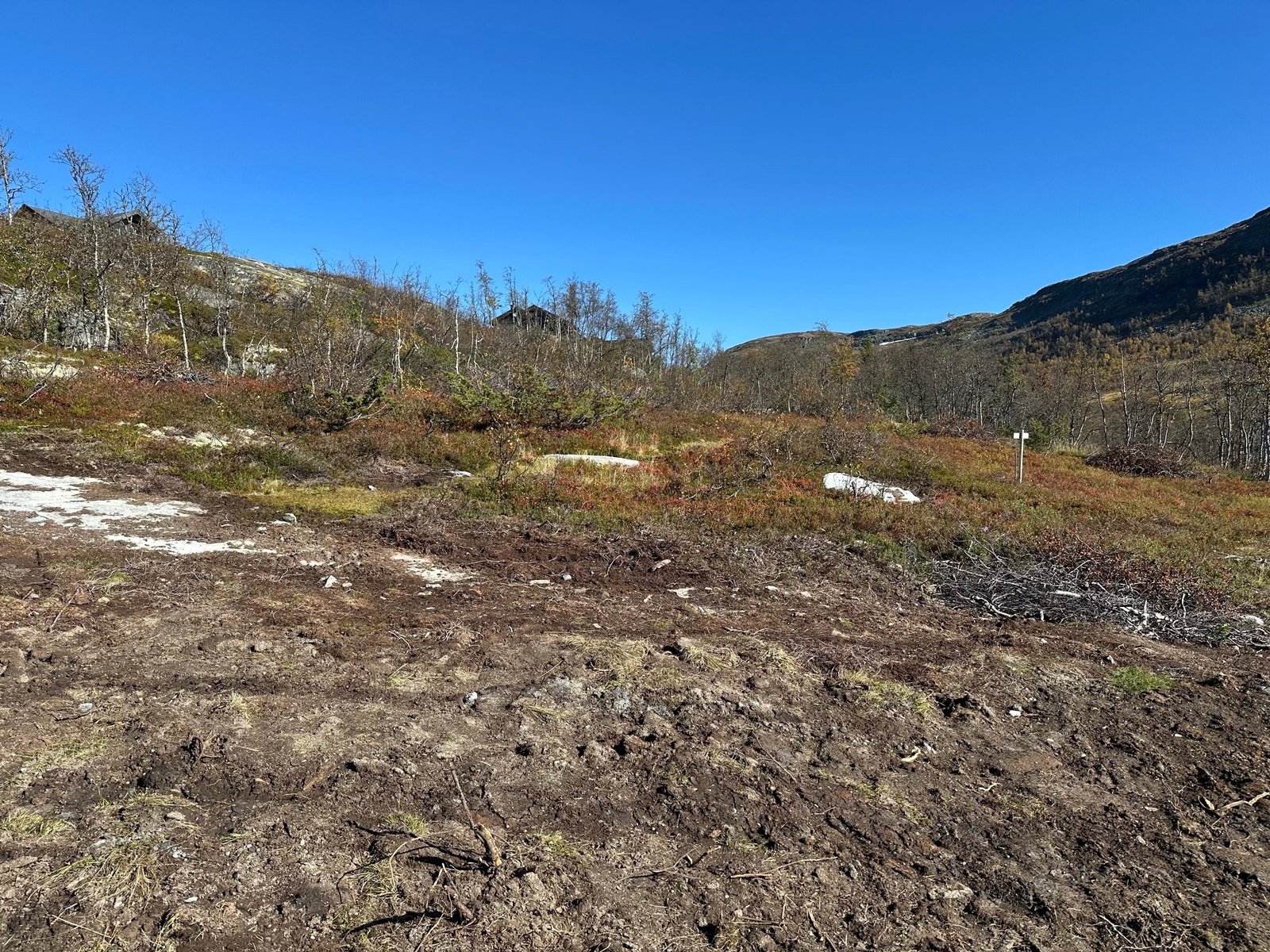 Utsikt fra tomt 127, nordøstover, mot tomt 126.
September 2024. Galleribilde