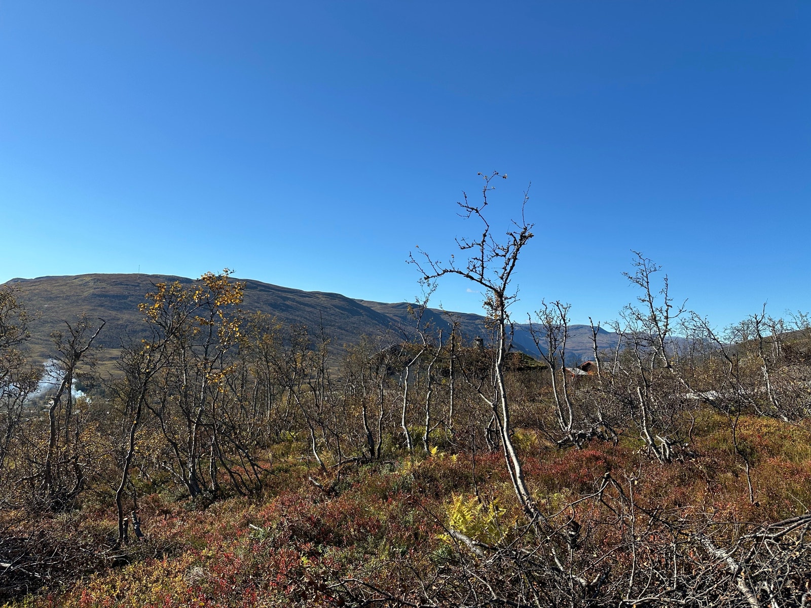 Utsikt fra tomt 127, sydvestover mot Høloksla og Hellefjell.
September 2024. Galleribilde