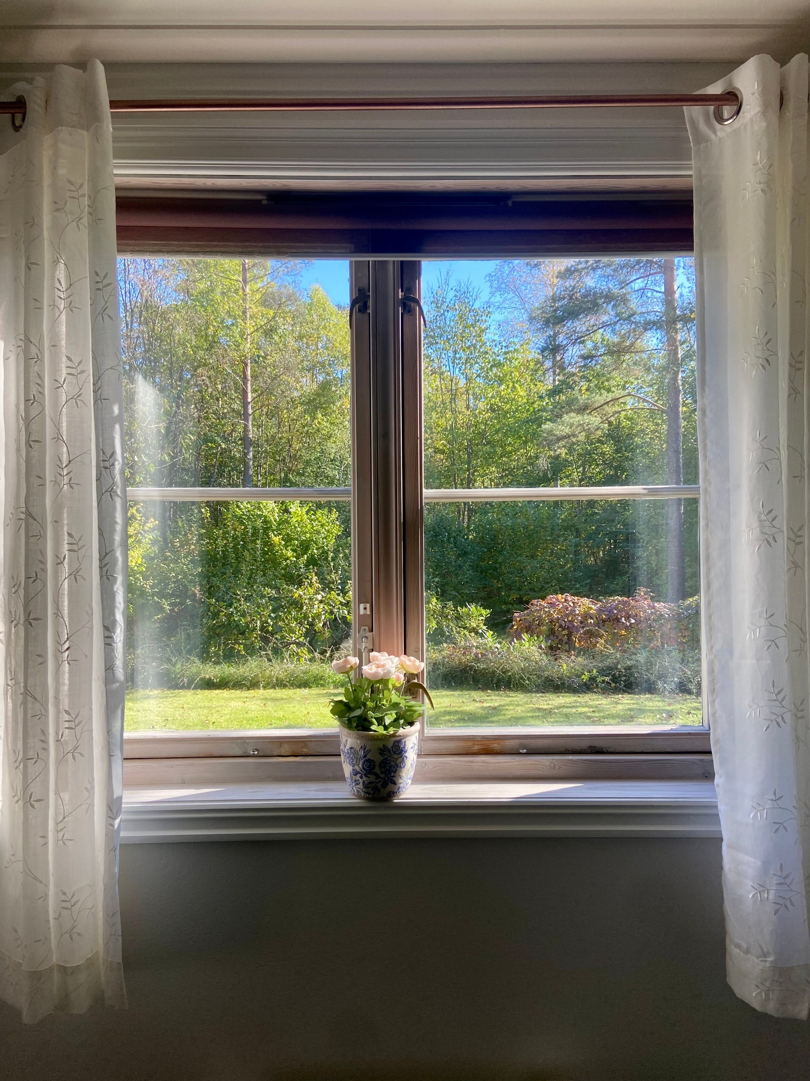 Marka er nærmeste nabo. Fra kjøkkenet kan man se rett ut mot Gaustadskogen og såvidt høre Risbekken Galleribilde