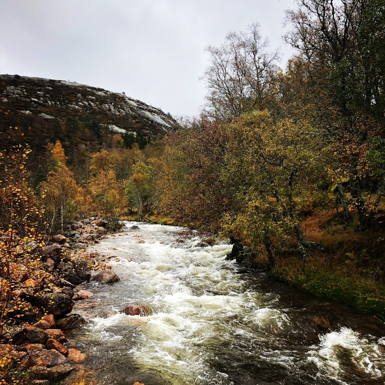 Høst på Knaben Galleribilde