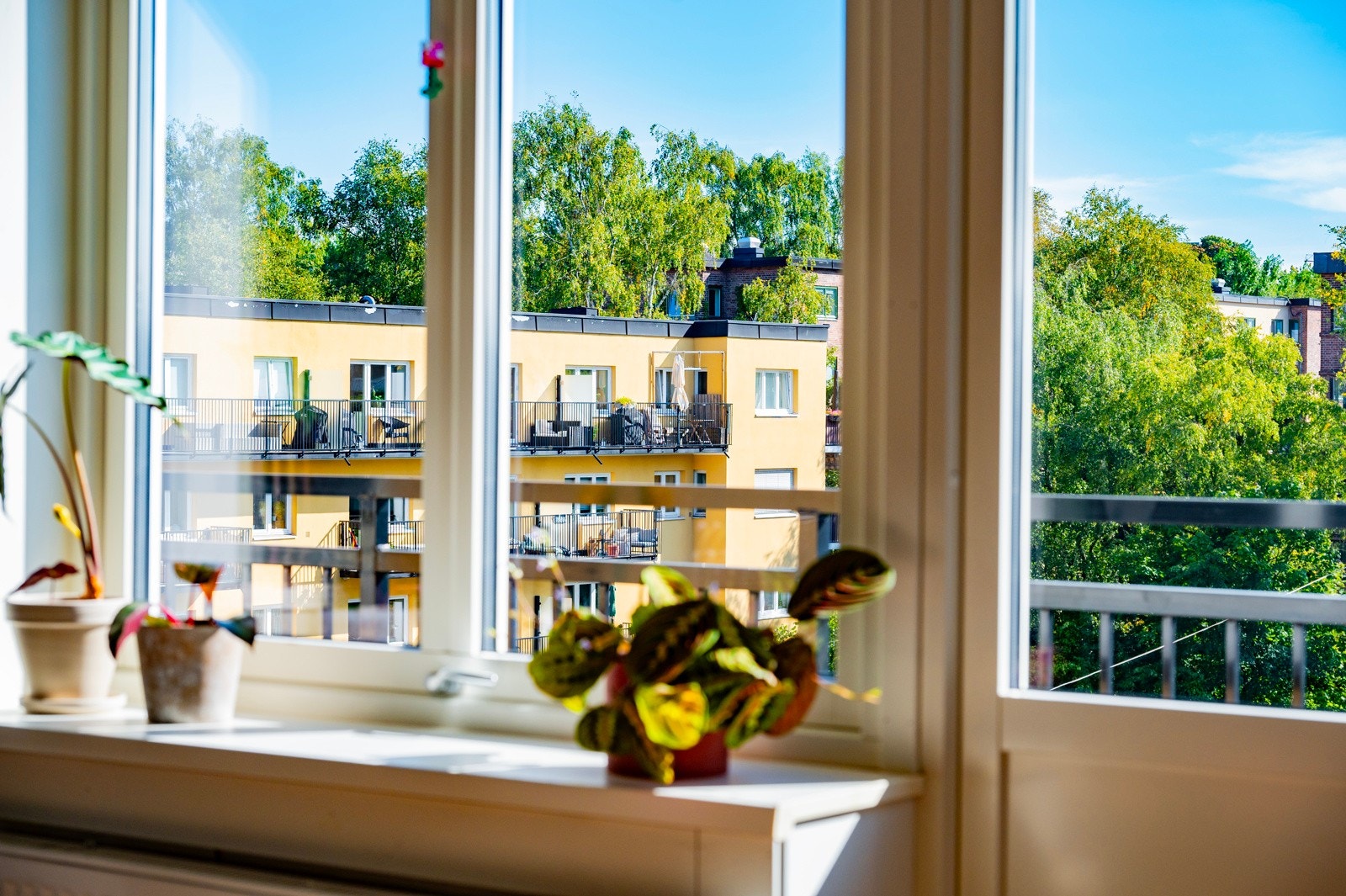 Usjenerende beliggenhet og ingen innsyn. Galleribilde