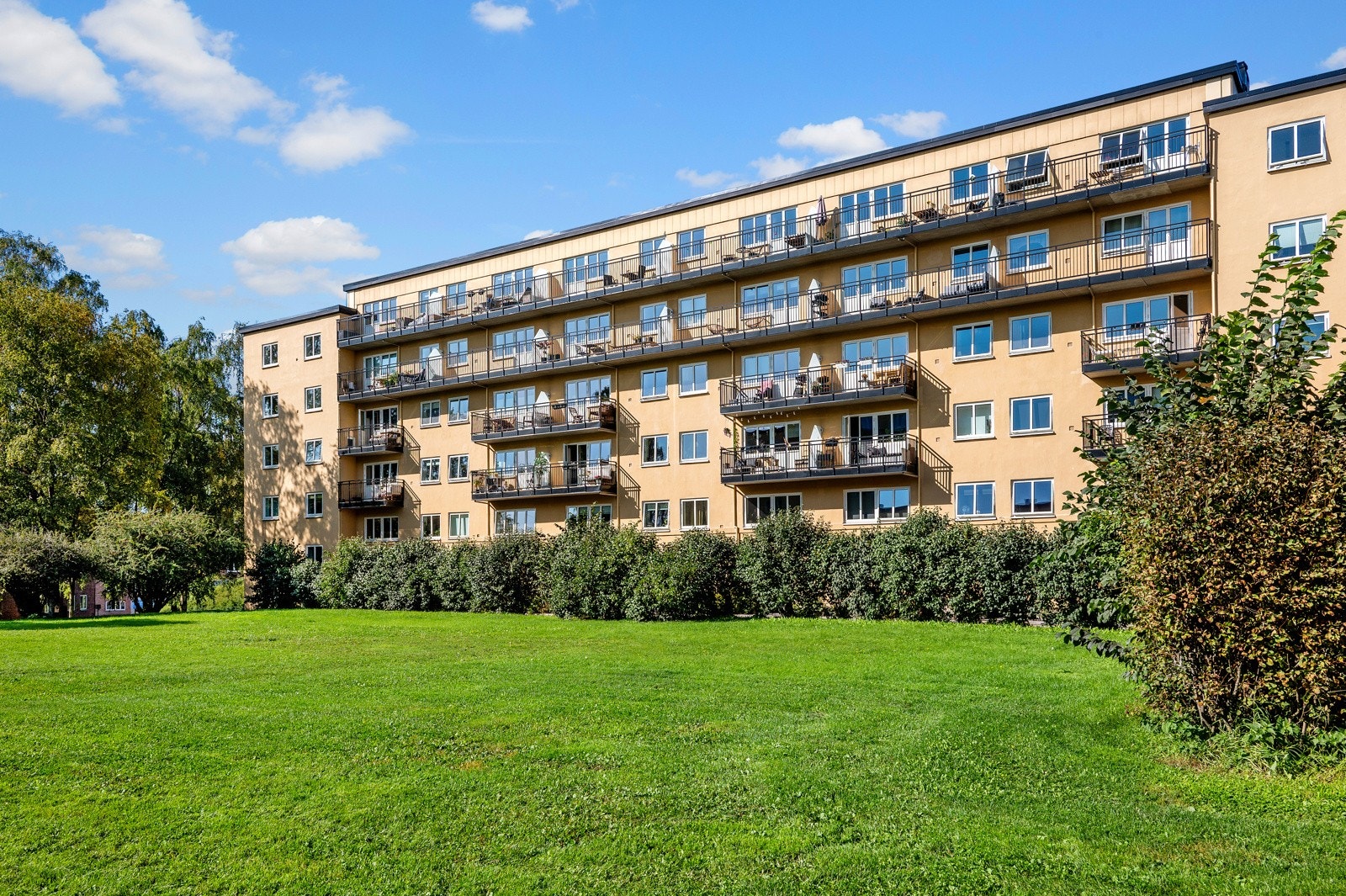 Frodige fellesarealer. Galleribilde