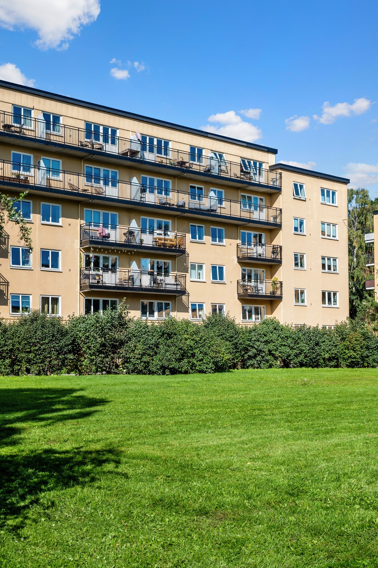 Fasade. Galleribilde