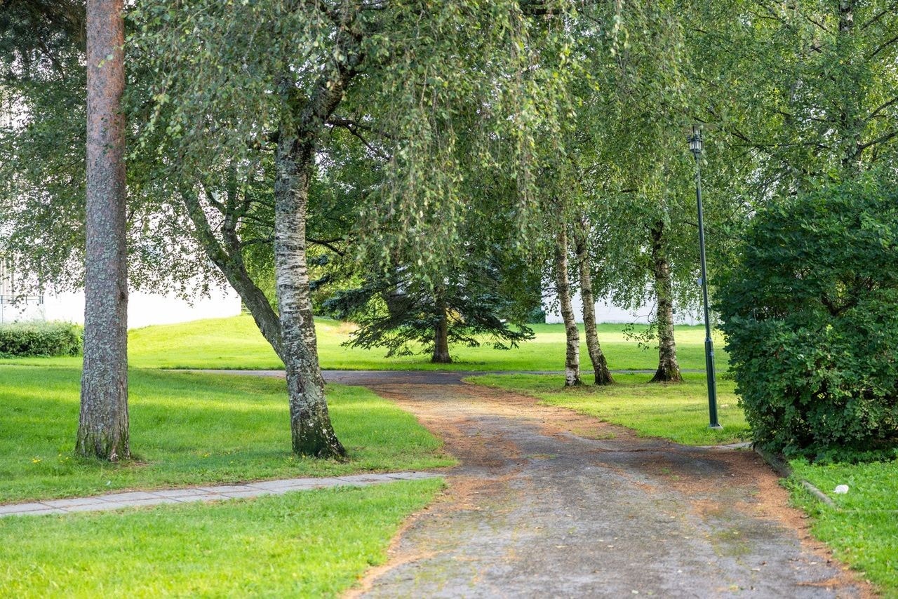 Idylliske turområder i nærheten. Galleribilde