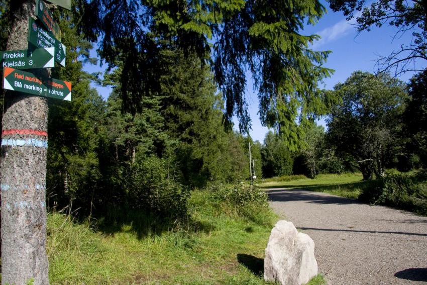 Kort vei til marka. Galleribilde