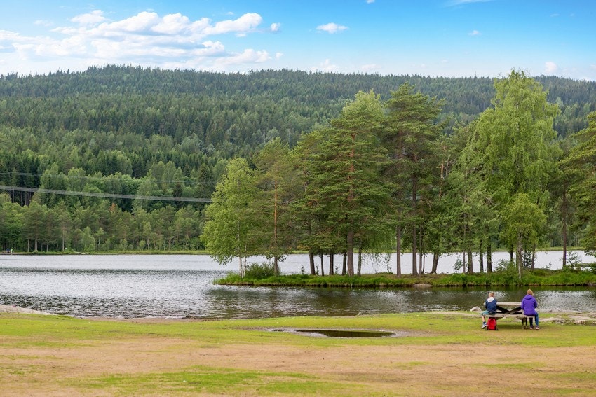 Sognsvann er en populær destinasjon, sommer som vinter. Galleribilde
