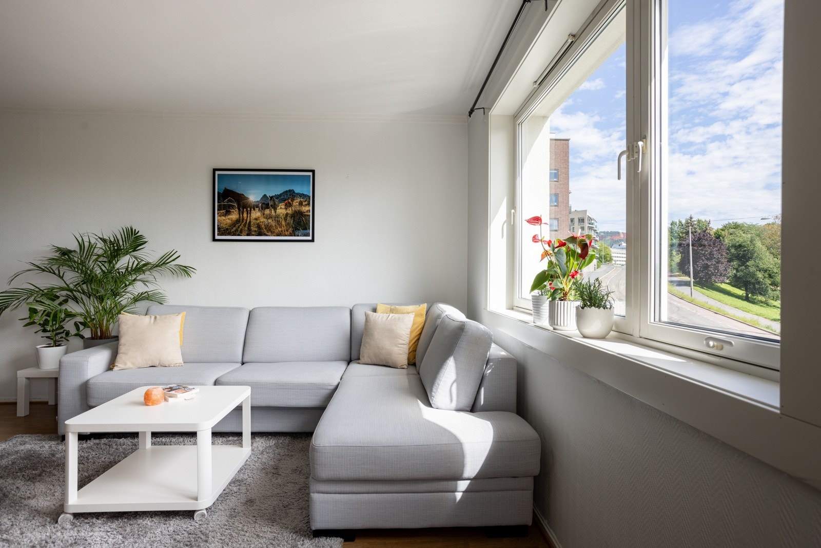 Alle vinduene i leiligheten var nye i 2007, og det er dype vinduskarmer med plass for planter og dekor. Galleribilde