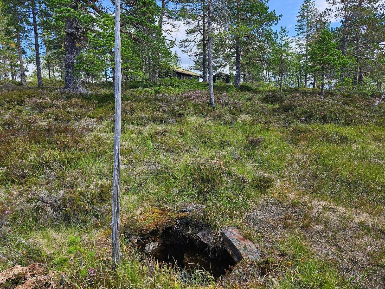 Oppkomme vann med hytta i bakkant av bildet Galleribilde