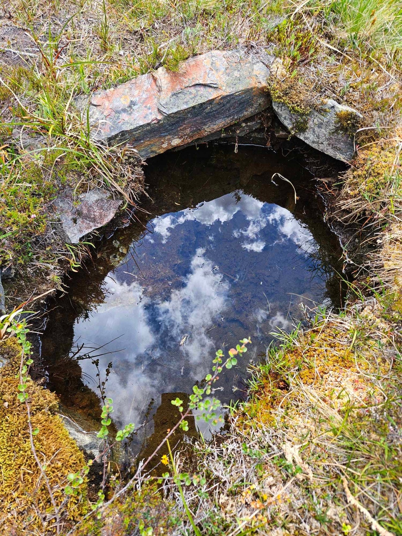 Oppkomme vann ca. 30 meter fra hytta Galleribilde
